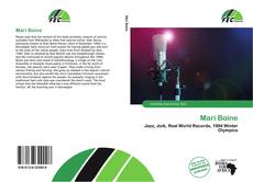 Mari Boine的封面
