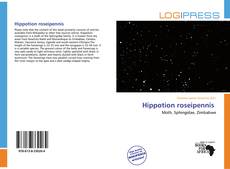 Bookcover of Hippotion roseipennis 