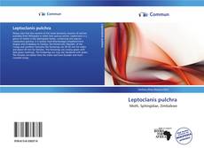 Leptoclanis pulchra  kitap kapağı