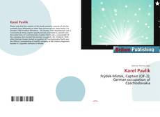 Bookcover of Karel Pavlík
