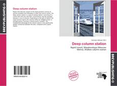 Bookcover of Deep column station