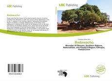 Buchcover von Badawacho