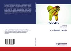 Capa do livro de C - shaped canals 