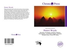 Damot Weyde的封面