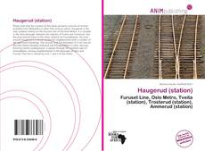 Haugerud (station) kitap kapağı