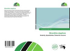 Brenthis daphne kitap kapağı