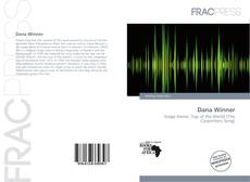 Dana Winner的封面