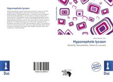 Hyponephele lycaon的封面