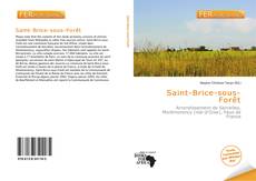 Bookcover of Saint-Brice-sous-Forêt