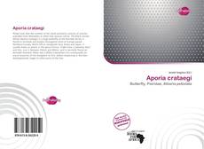 Bookcover of Aporia crataegi