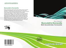 Portada del libro de Bucculatrix thoracella