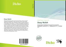 Davy Walsh kitap kapağı