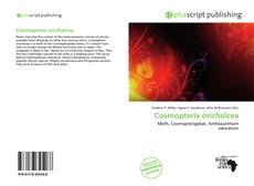 Обложка Cosmopterix orichalcea