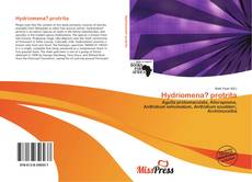 Bookcover of Hydriomena? protrita