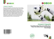 Borítókép a  Joaquín Irigoytía - hoz