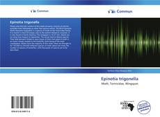 Epinotia trigonella kitap kapağı