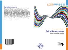 Borítókép a  Epinotia maculana - hoz