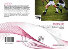 Buchcover von Javier Zeoli