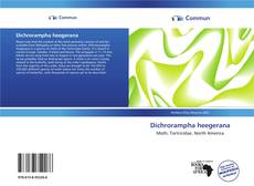Bookcover of Dichrorampha heegerana