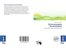 Capa do livro de Dichrorampha acuminatana 
