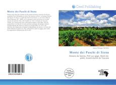 Monte dei Paschi di Siena的封面