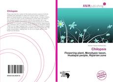 Bookcover of Chilopsis