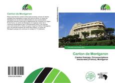 Canton de Montgeron kitap kapağı