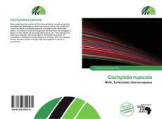 Cochylidia rupicola kitap kapağı