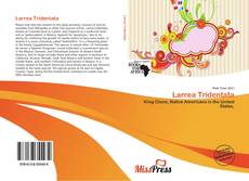 Larrea Tridentata kitap kapağı