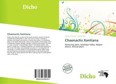 Copertina di Chaenactis Xantiana