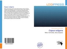 Bookcover of Capua vulgana