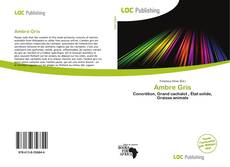 Buchcover von Ambre Gris