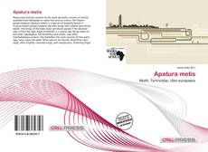 Buchcover von Apatura metis