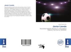 Capa do livro de Javier Liendo 