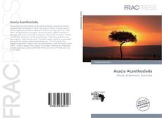 Buchcover von Acacia Acanthoclada