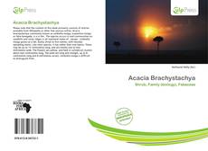 Acacia Brachystachya的封面