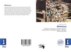 Copertina di Melokoza