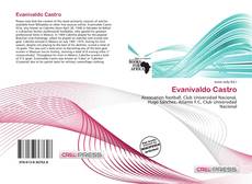 Buchcover von Evanivaldo Castro