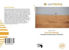 Buchcover von Acacia Cambagei