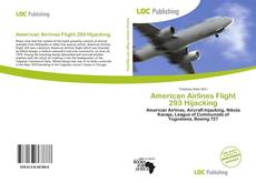 Buchcover von American Airlines Flight 293 Hijacking