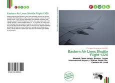 Buchcover von Eastern Air Lines Shuttle Flight 1320