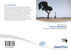 Acacia Maitlandii kitap kapağı