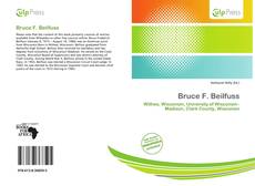 Bruce F. Beilfuss的封面