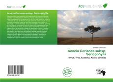 Copertina di Acacia Coriacea subsp. Sericophylla