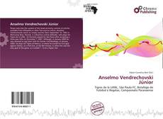 Buchcover von Anselmo Vendrechovski Júnior