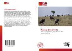 Copertina di Acacia Decurrens