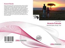 Buchcover von Acacia Falcata