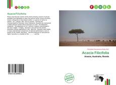Copertina di Acacia Filicifolia