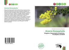 Copertina di Acacia Harpophylla