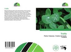 Trèfle kitap kapağı